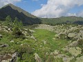 IMG_2333