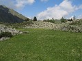 IMG_2334