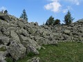 IMG_2337