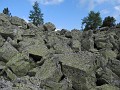 IMG_2338
