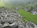 IMG_2339