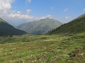 IMG_2341