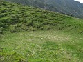 IMG_2342