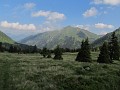 IMG_2352
