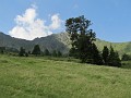 IMG_2353