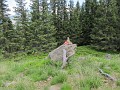 IMG_2355