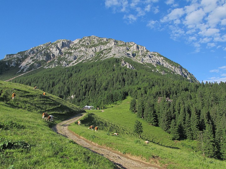 IMG_2369.jpg - ...wir (fast) bei der Edelweißhütte. Vor uns: Der Fadensteig                               