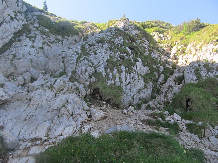 IMG_2439.jpg - Der letzte Aufstieg im Steig ist nun nochmal ordentlich steil, man benötigt sogar Hände.                                                              