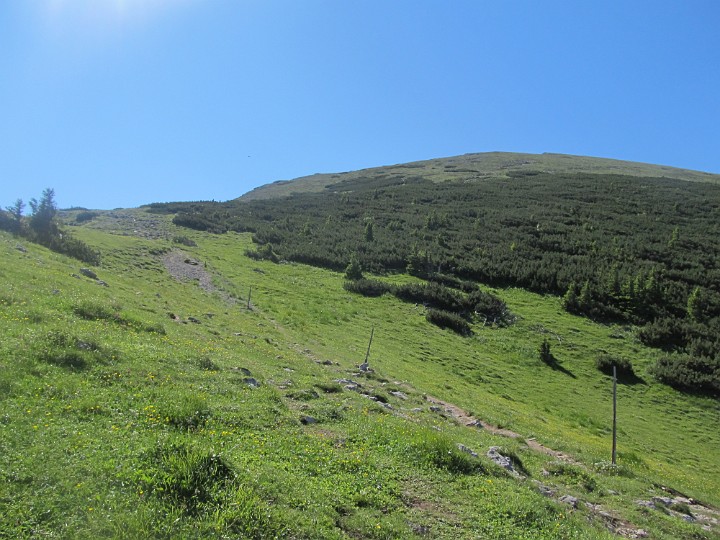 IMG_2444.jpg - , dann sind wir auf der Hochfläche.                               