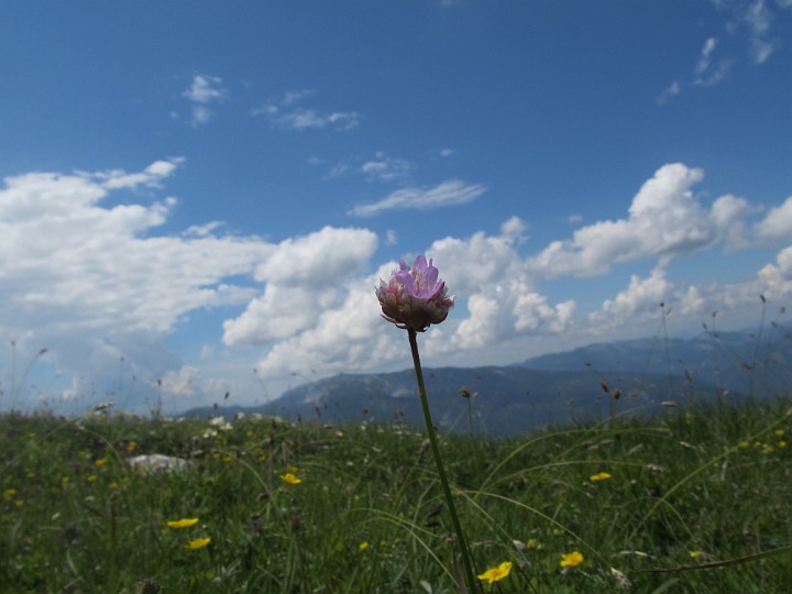 IMG_2476.jpg - Seitenblick ;-)                             