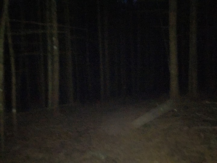IMG_1676.JPG - Im finsteren Wald....(Rötkäppchen war nicht da. War wohl mit dem bösen Wolf im Wirtshaus, oder bei Oma)
