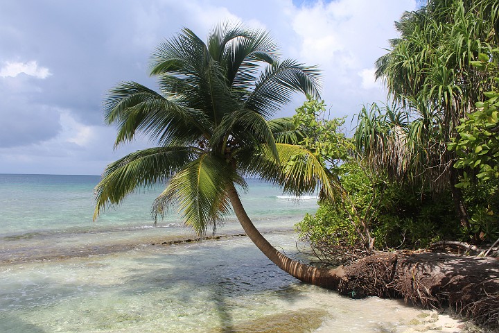 IMG_1732.JPG - Herrlich