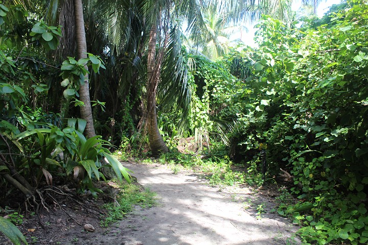 IMG_1756.JPG - Sehr nett