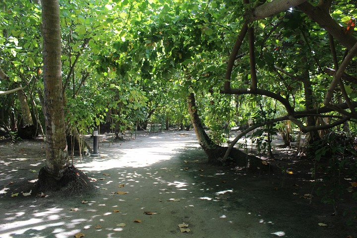 IMG_1786.JPG - Die Wege sind gepflegt.