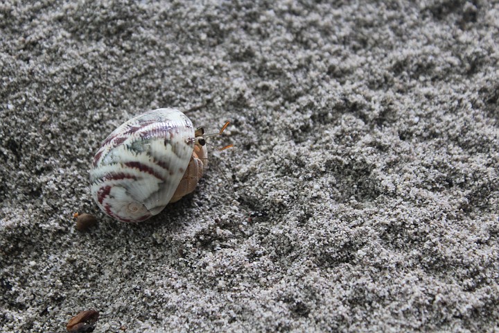 IMG_1824.JPG - Von diesen Bewohnern hier (Foto Clarissa)