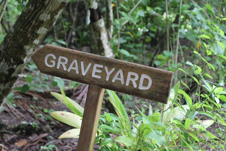 IMG_2044.JPG - Im Zentrum der Insel..