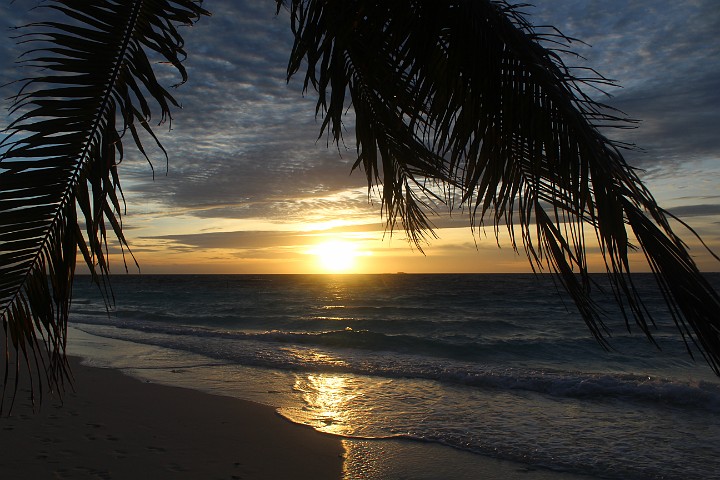 IMG_2536.JPG - Es wird wieder Abend.