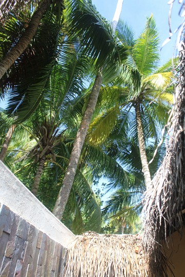 IMG_2679.JPG - Oben offen.