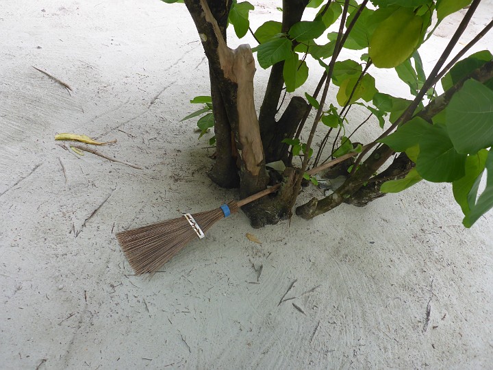 P1050107.JPG - Wer hat denn da sein Fluggerät mitgenommen?