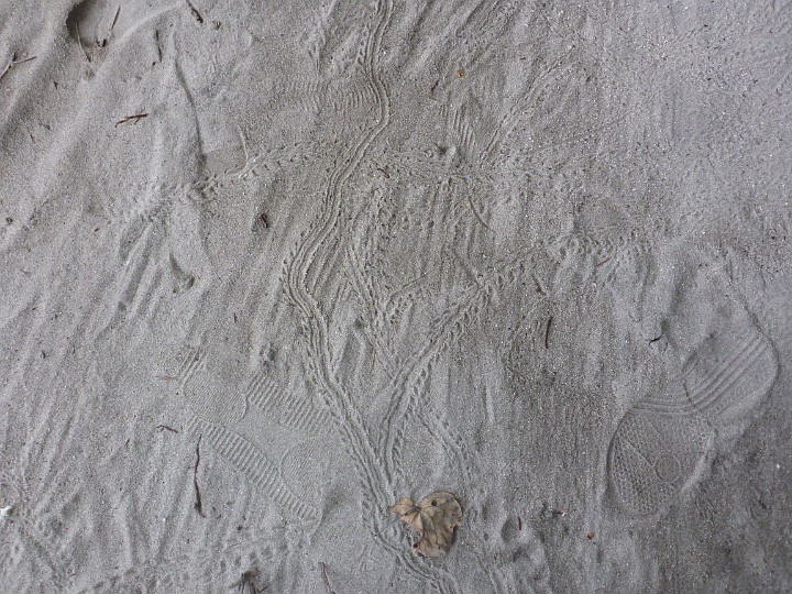 P1050114.JPG - Spuren im Sand