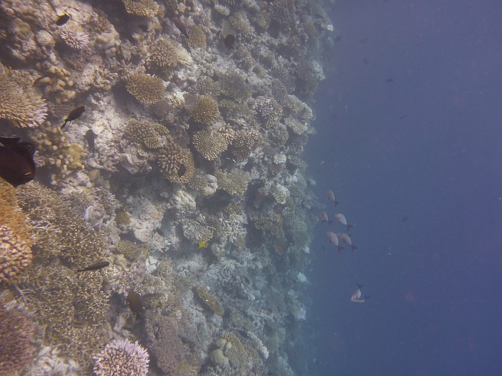 P1050589.JPG - Der Abgrund