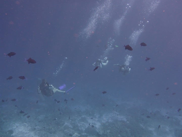 P1050594.JPG - Man sieht- obwohl es etwas trüb ist, ist die Sicht dennoch ausgezeichnet.