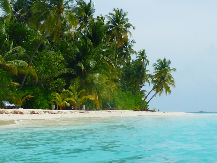 P1050646.JPG - Herrlich