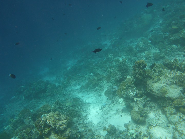 P1050675.JPG - Siehst du lange genug in den Abgrund, so sIeht er am Ende in dich.. (F. Nietzsche)