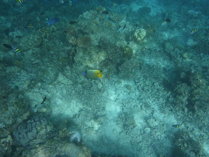 P1050833.JPG - Blaupunktkaiser