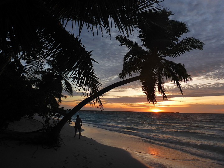 P1060451.JPG - Mit der Palme sieht das einfach nur gut aus.