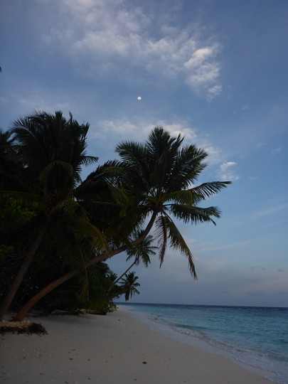 P1060626.JPG - Der Mond