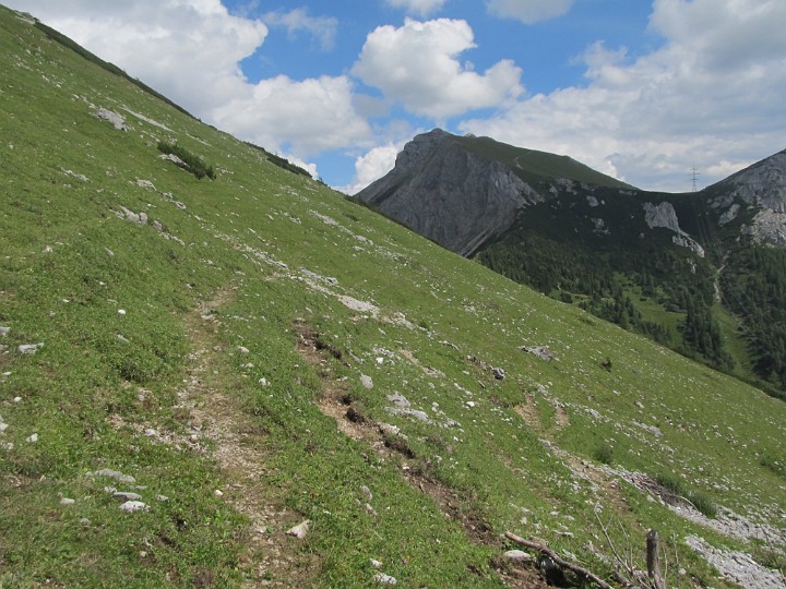 IMG_2716.jpg - Der Weg ist gut bezeichnet (ok, hier am Foto nicht, aber in Wirklichkeit schon)                               