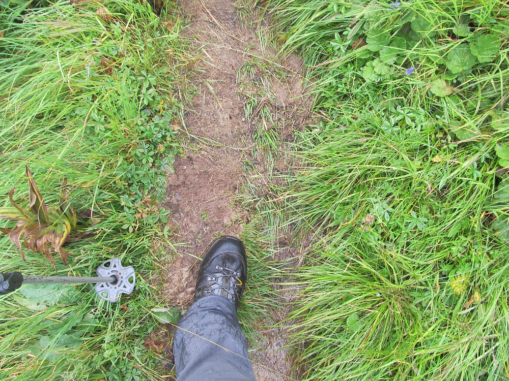 IMG_2750.jpg - Und es ist naß. Ich gehe im Gatsch, im nassen Gras, und so werden sogar Schuhe und Socken durchnäßt, und es bilden sich durch das Scheuern im weiteren Verlauf Blasen an den Füßen.                    