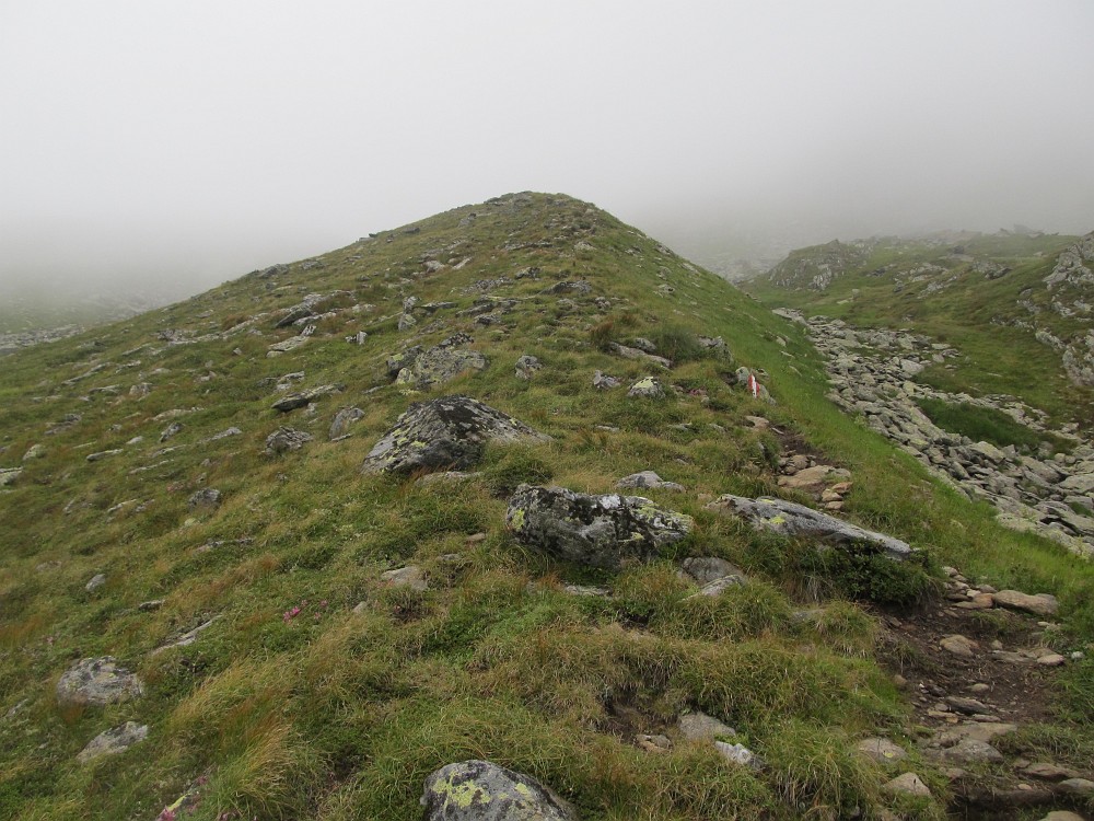 IMG_2762.jpg - Aber bald steigt der Weg wieder an.                               