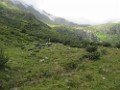 IMG_2737
