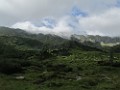 IMG_2742