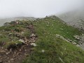 IMG_2763