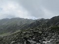 IMG_2769