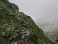 IMG_2776