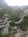IMG_2783
