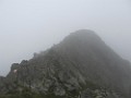 IMG_2785