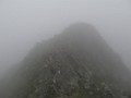 IMG_2789