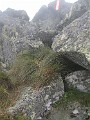 IMG_2790