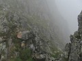 IMG_2792