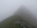 IMG_2797