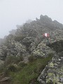 IMG_2798