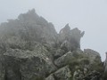 IMG_2800