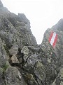 IMG_2802
