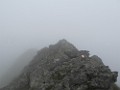 IMG_2805