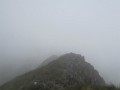 IMG_2809